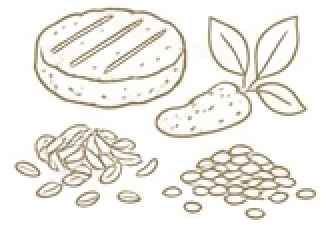 Erstatninger for kød, ris & pasta